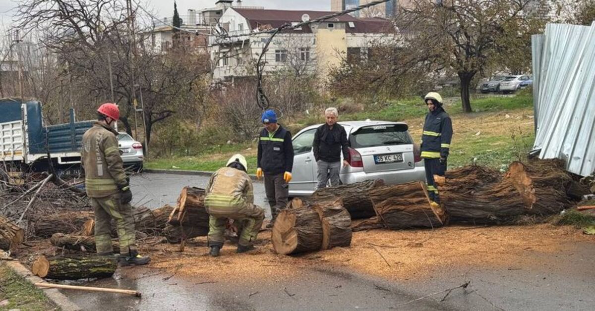 Avcılar’da devrilen ağaç, elektrik ve telefon kablolarına zarar verdi