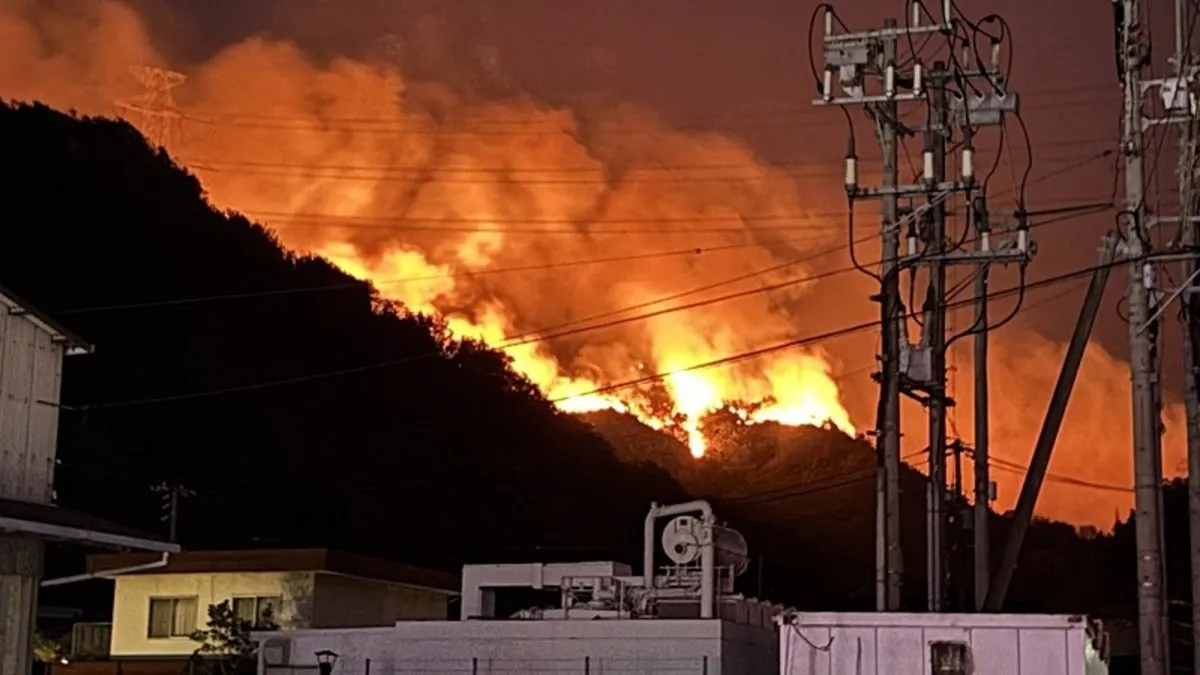 Japonya’da orman yangını alarmı! 2 eyalet alevlere teslim oldu